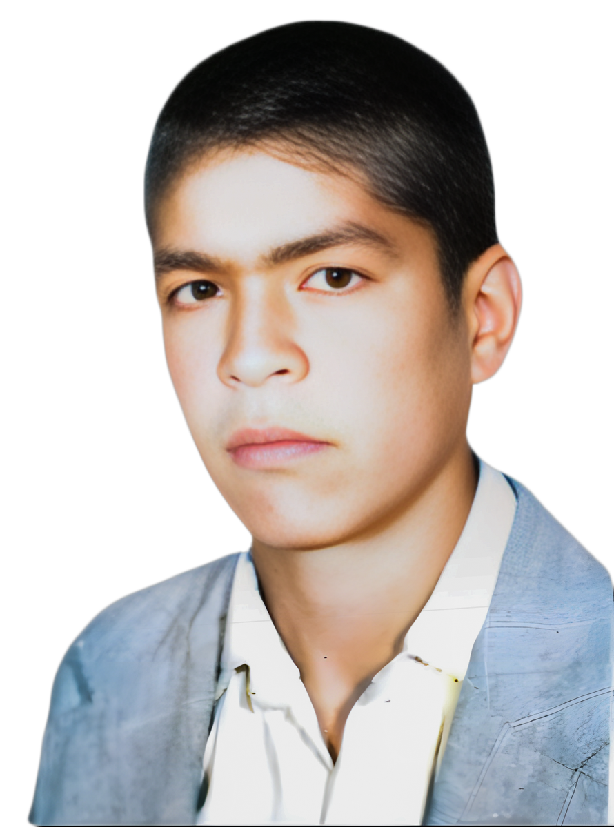 محمدمهدی حسامی