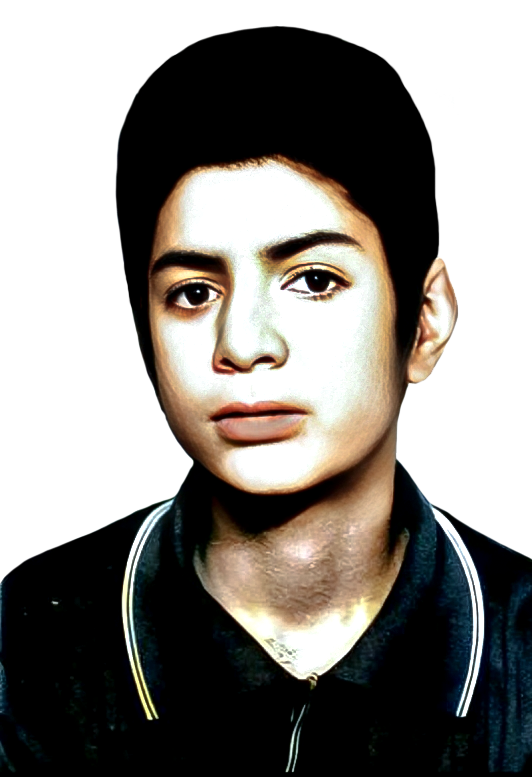 امیر حسن پور