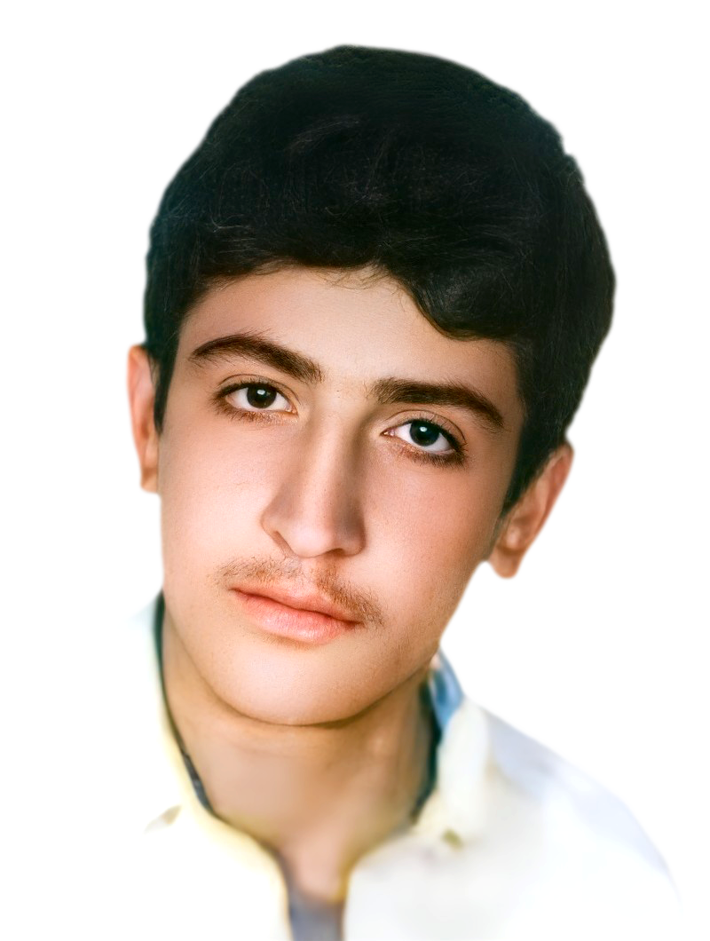 غلام رضا حسن شاهی