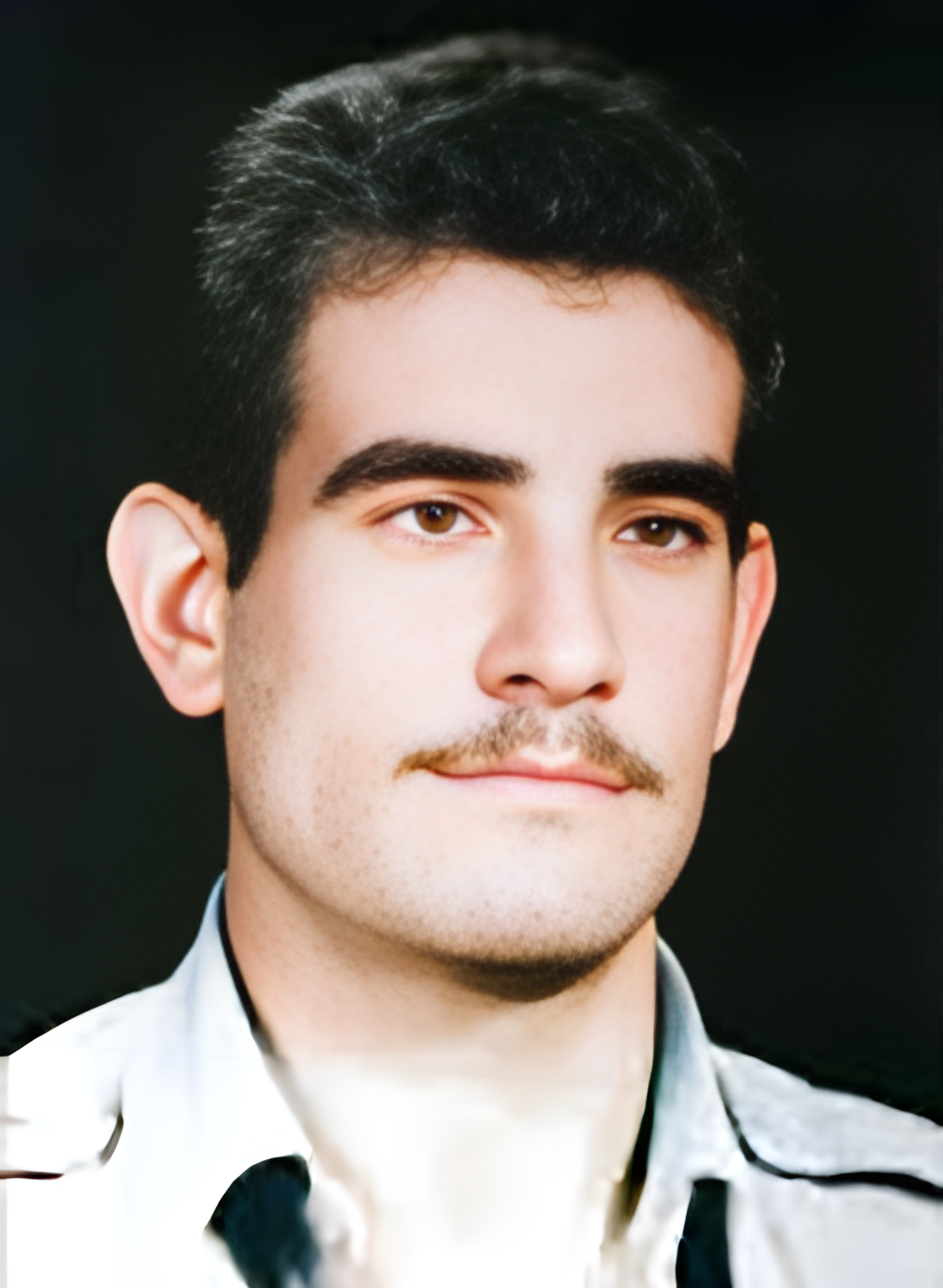 منوچهر حسنی