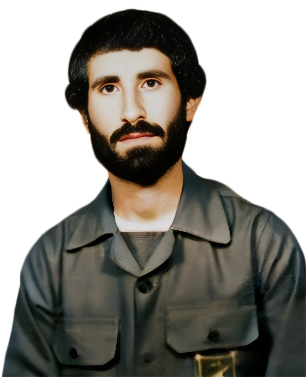 منوچهر حسنی