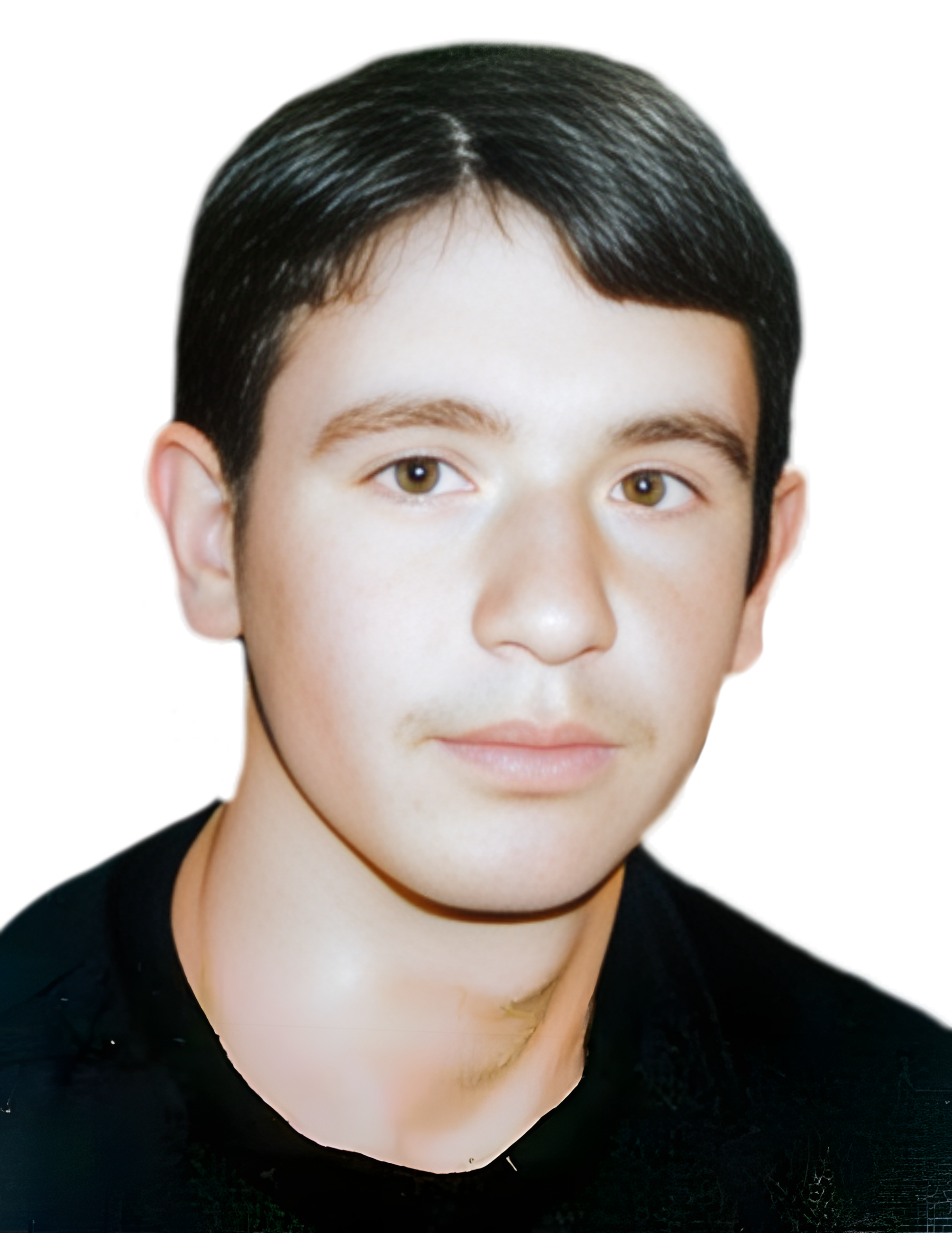 حمید حسینی سورک