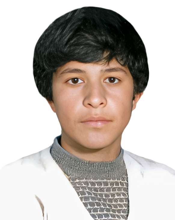 فرزاد حمیدی