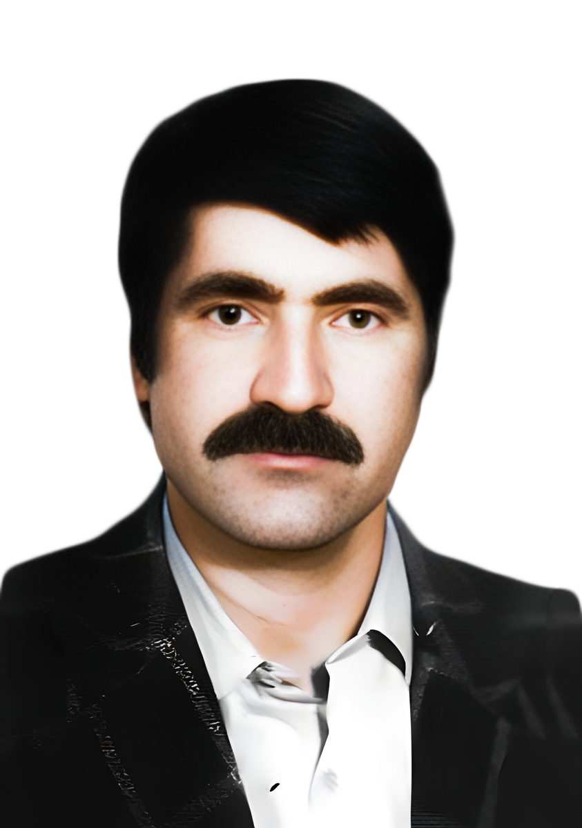 محمدرضا حمیدی