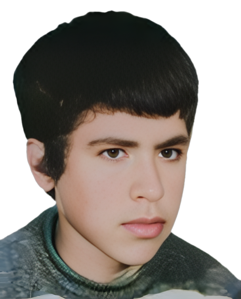 غلام حسین حیات داودی