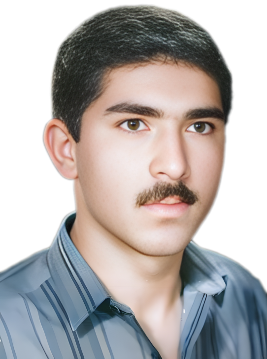 وحید خالقی زاده