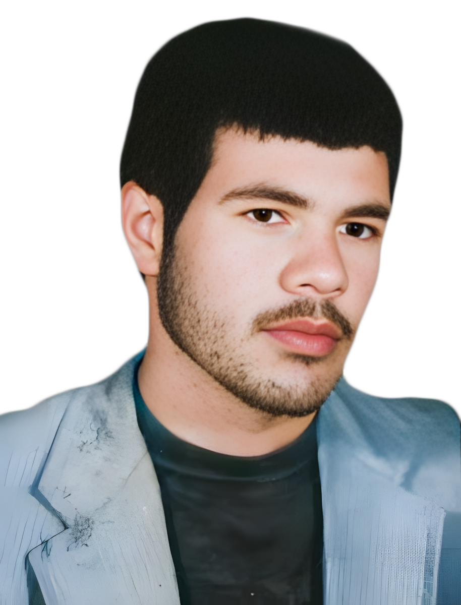 محمدرضا خدامی