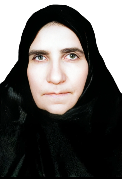 نورسته خواجی