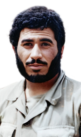 علی محمد داراب پور