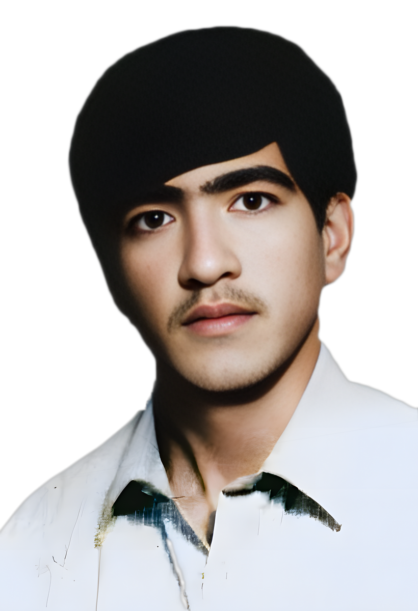 رضا داورپناه