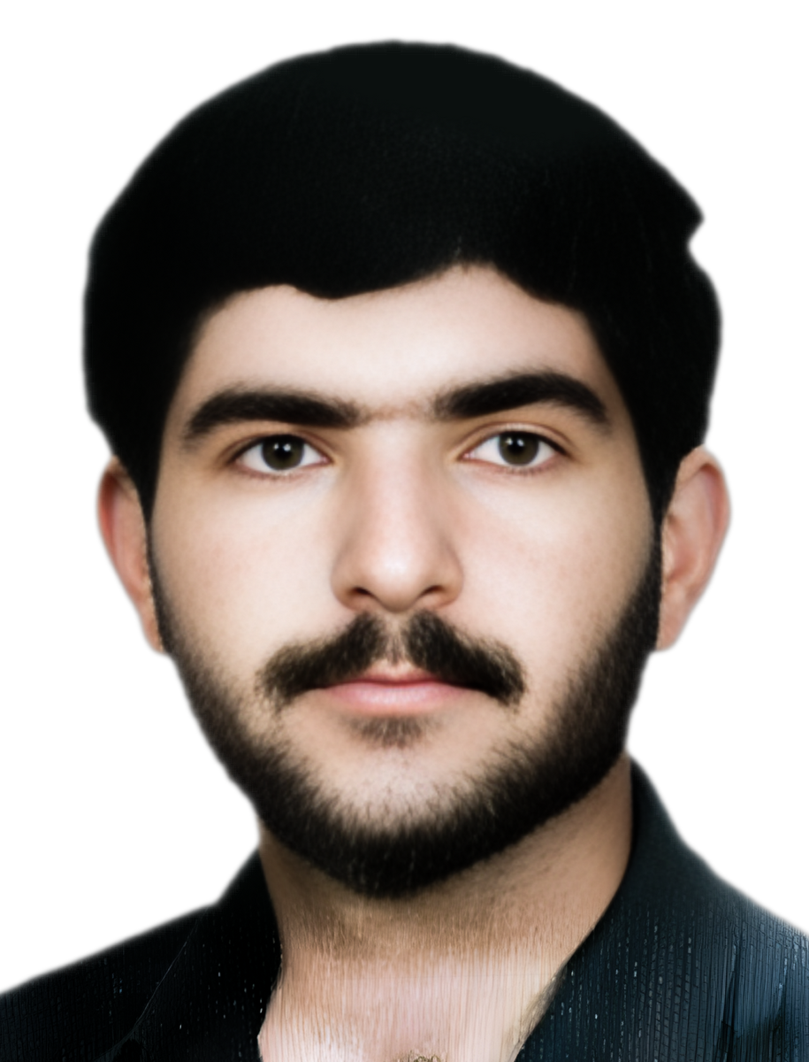 ذوالفقار دستمزد