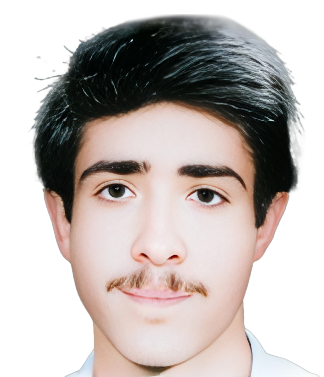 مجتبی دهداری