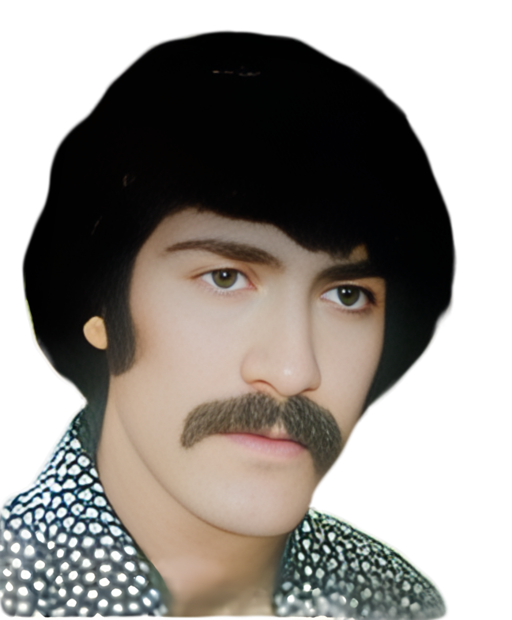 محمود دهستانی