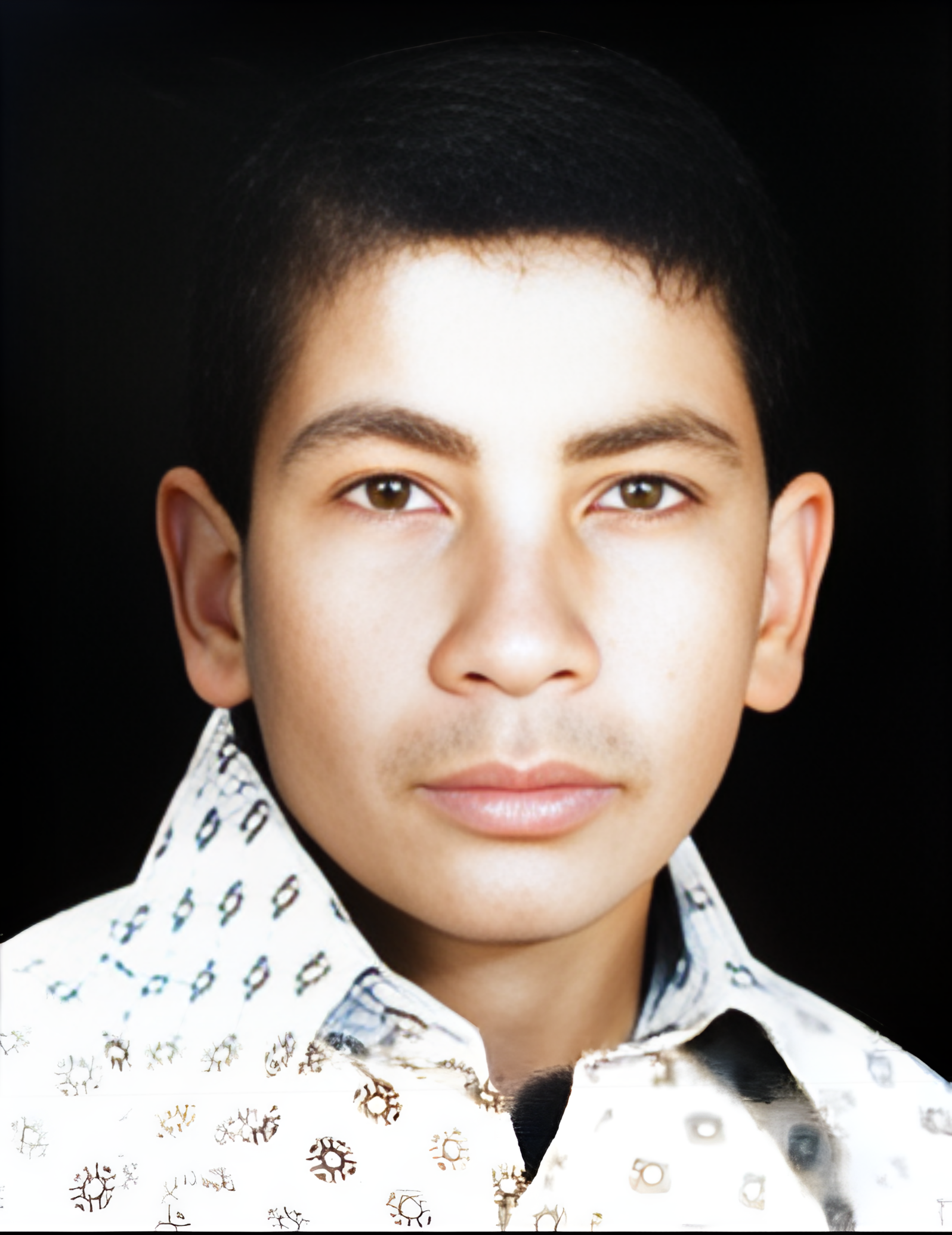 امیرحمزه دهقان محمدآبادی