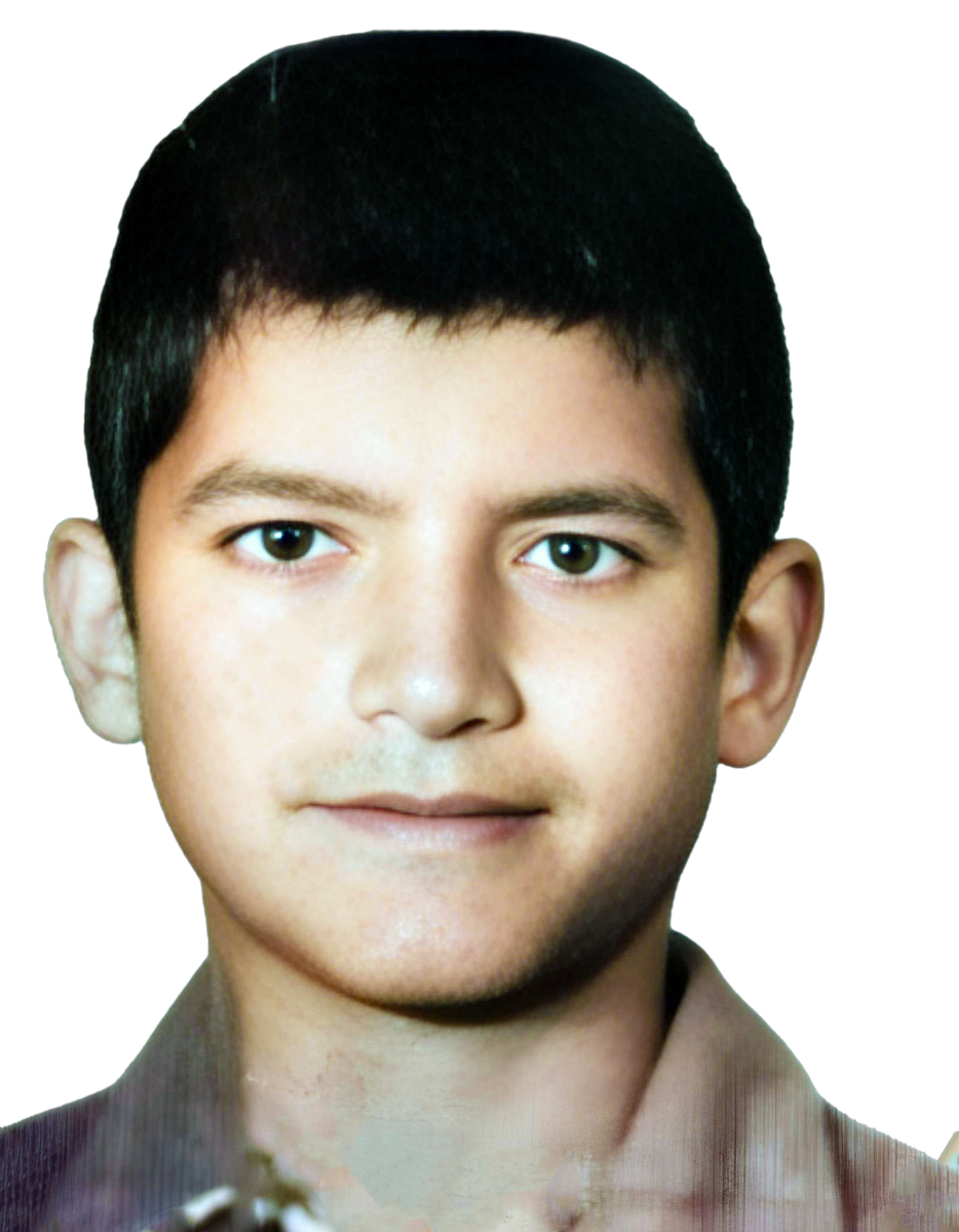 پولاد رزمجوقلائی