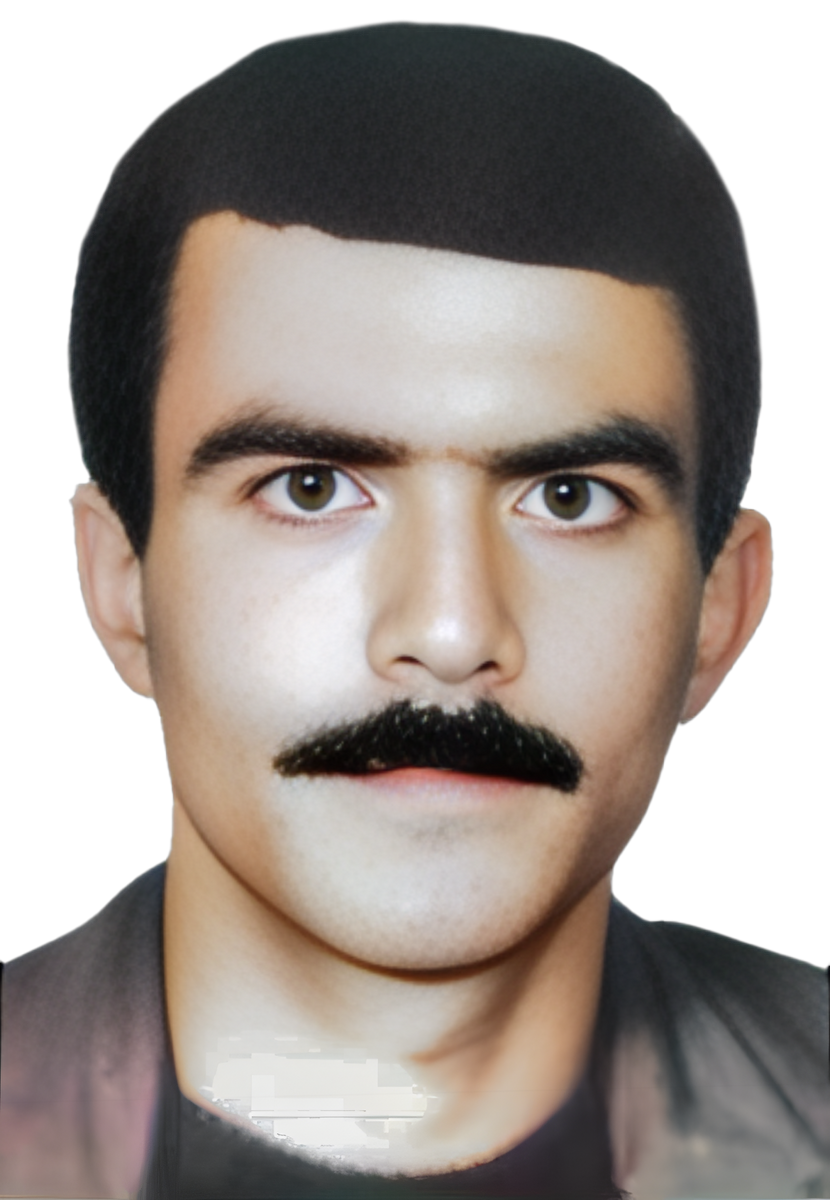 سیدامین اله رضوی خانکهدانی