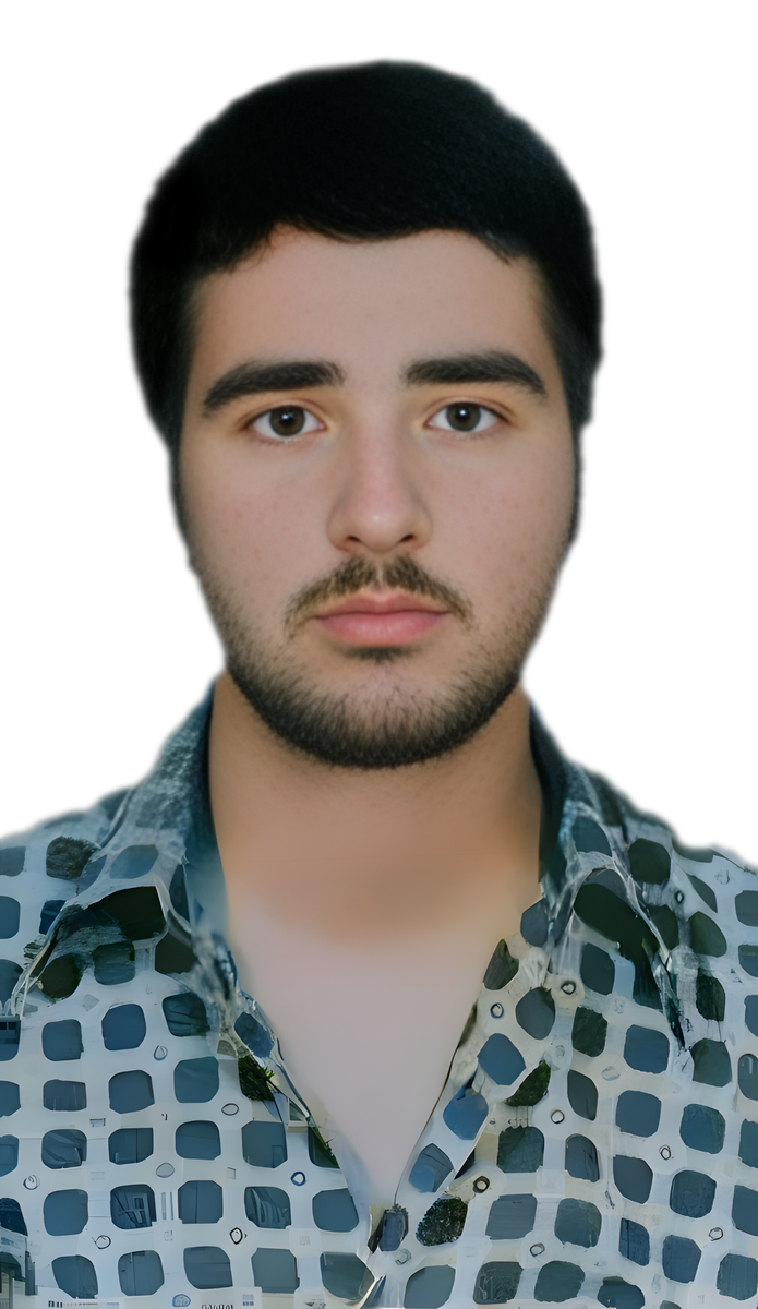 محمود رفیعی