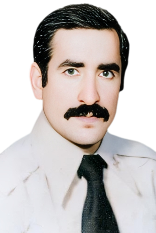 پرويز روحاني