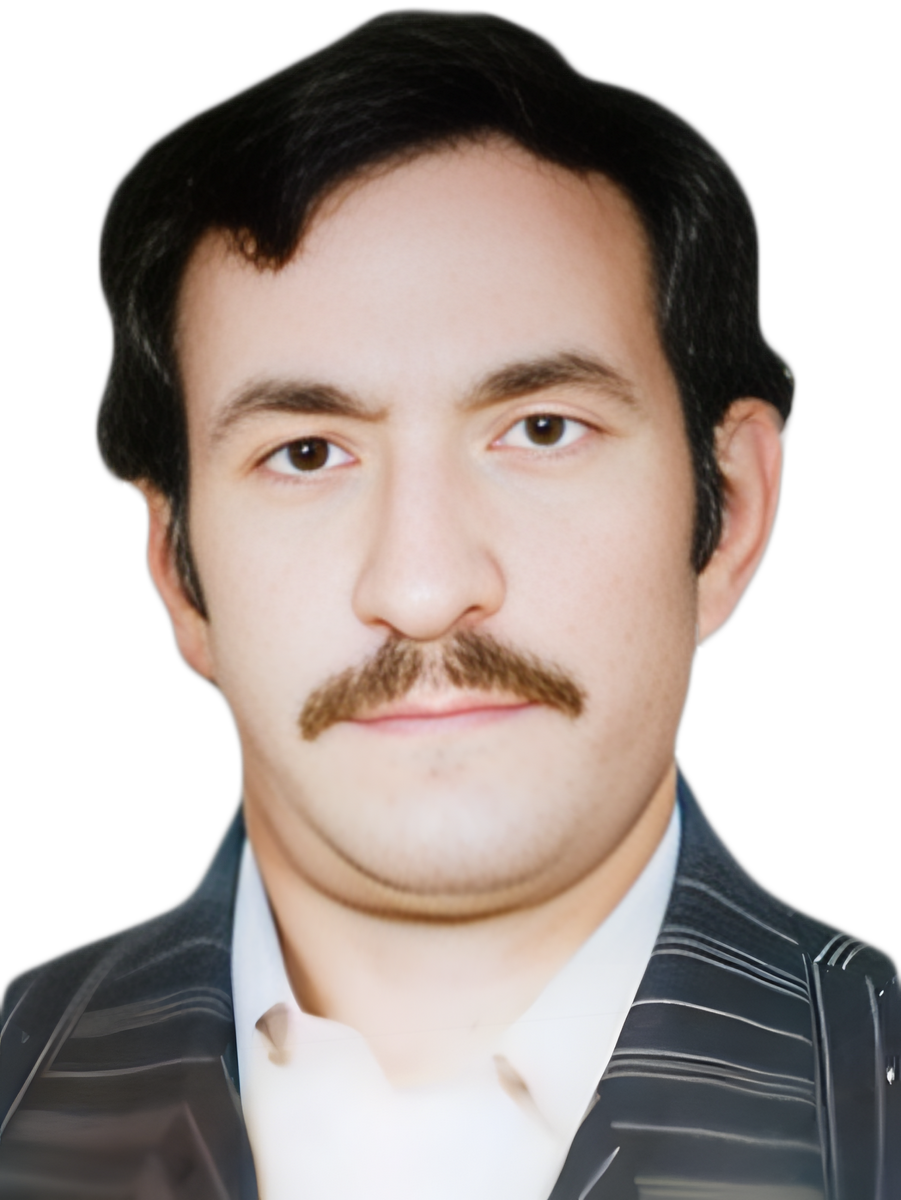 برفی ریاستی