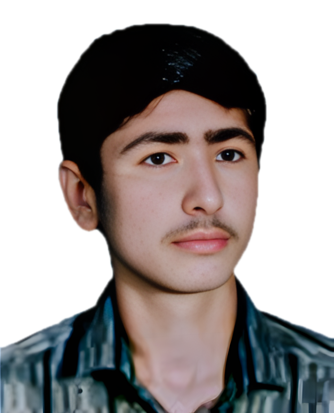 محمدرضا زارعی بهجانی