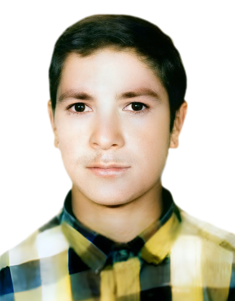 ناصر زارعی