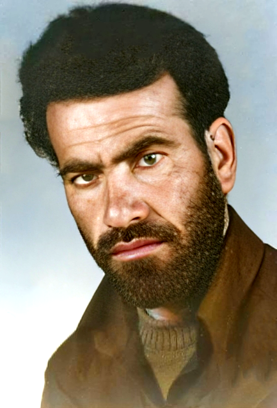 محمدحسين زارعي گنکي