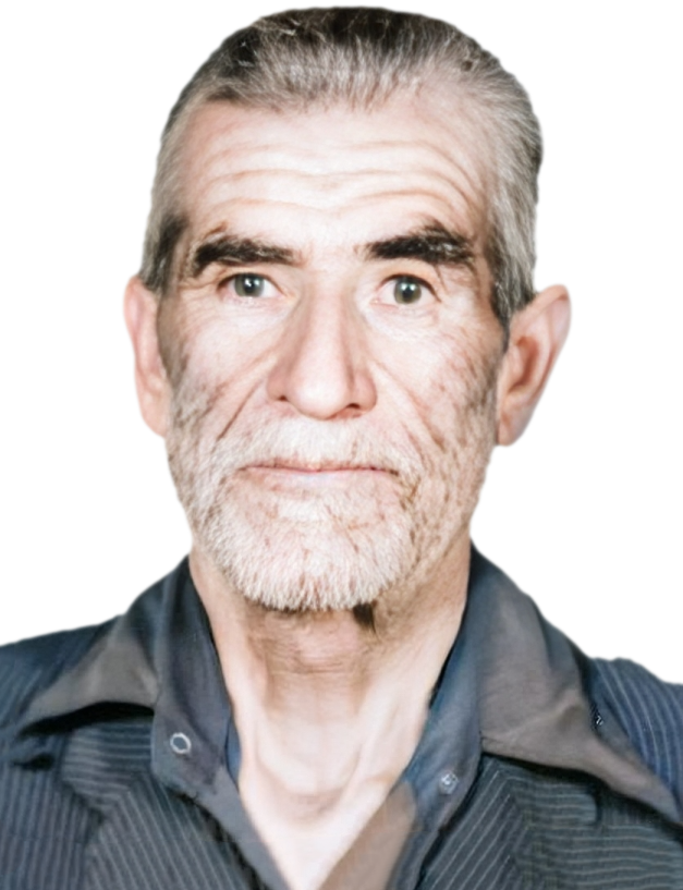 محمد زرين تاج سنگري