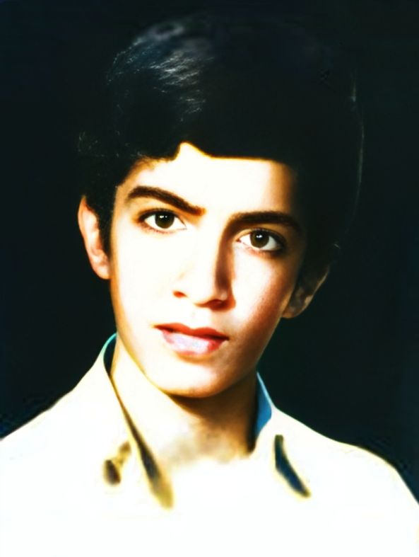 حسن زمانی