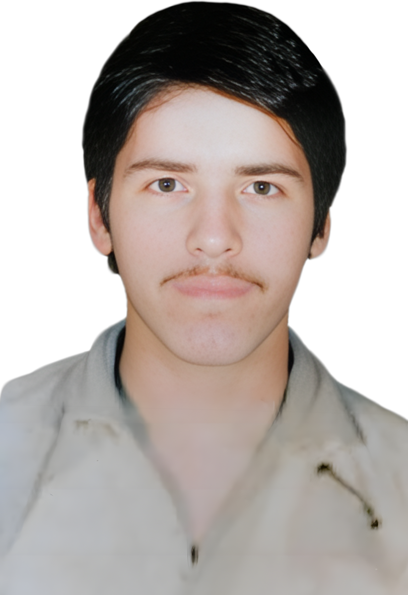 سیدحسن  زهرایی حقیقی