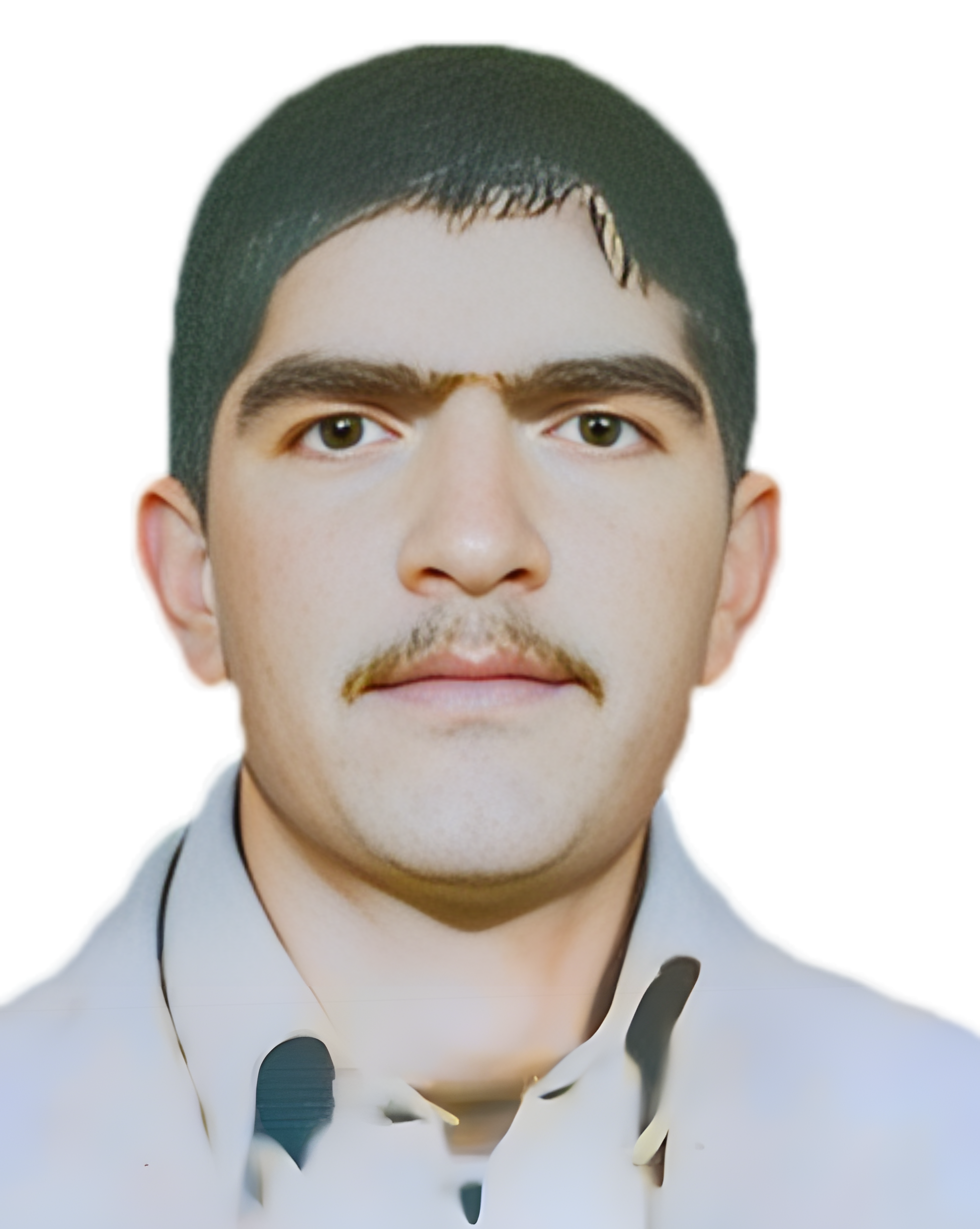 محمد سبزعلیان