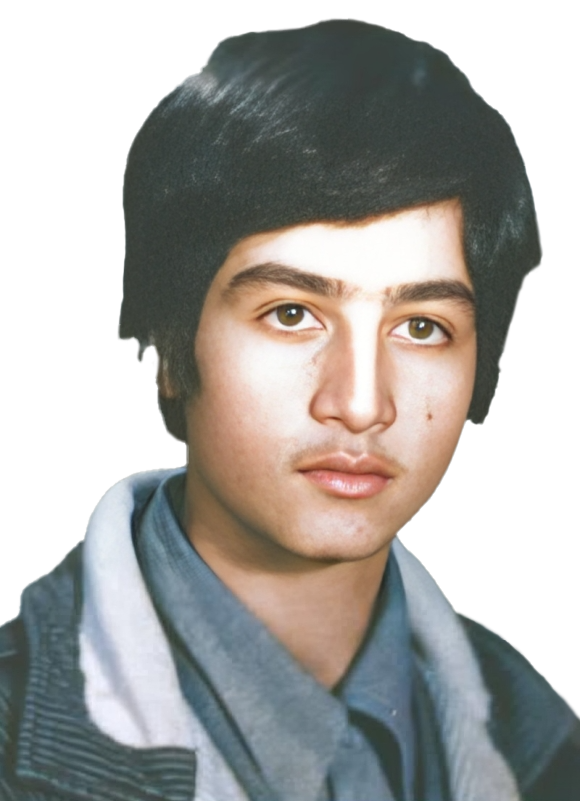 جواد سبزی