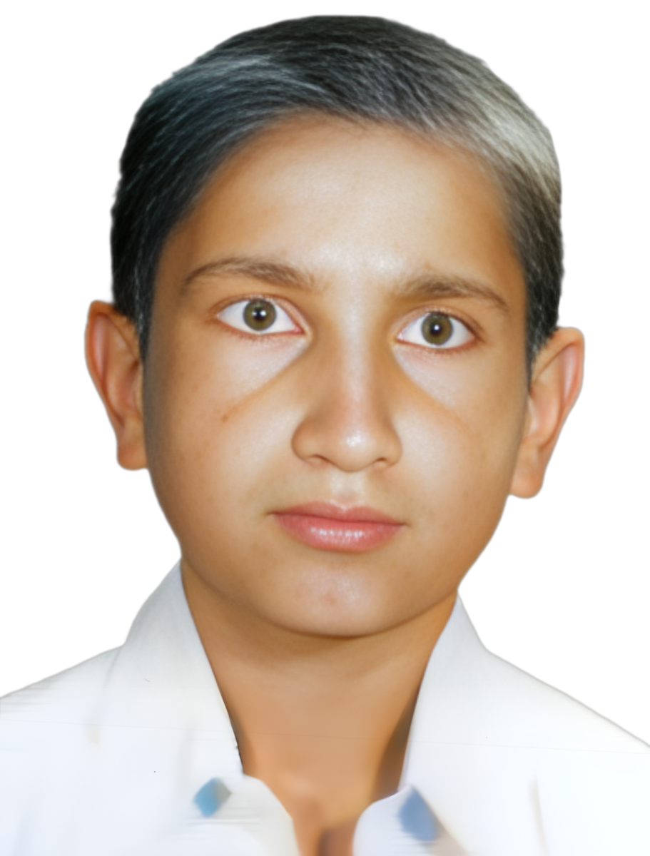 محمدرضا ستوده