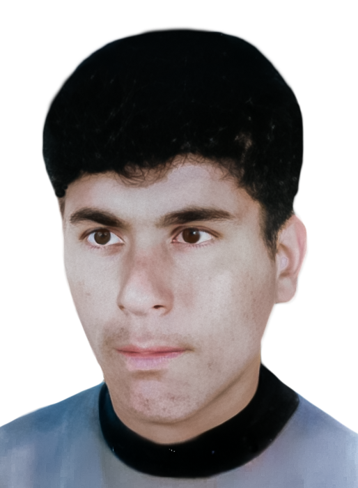 محمود سخائی