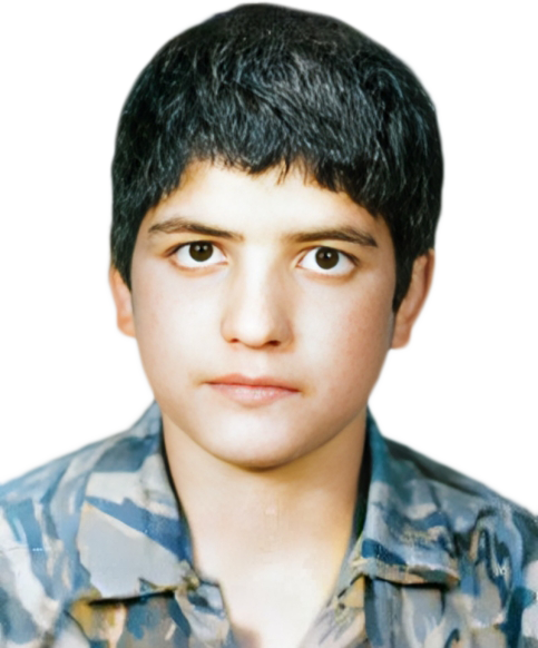 محمدحسین سرپرست