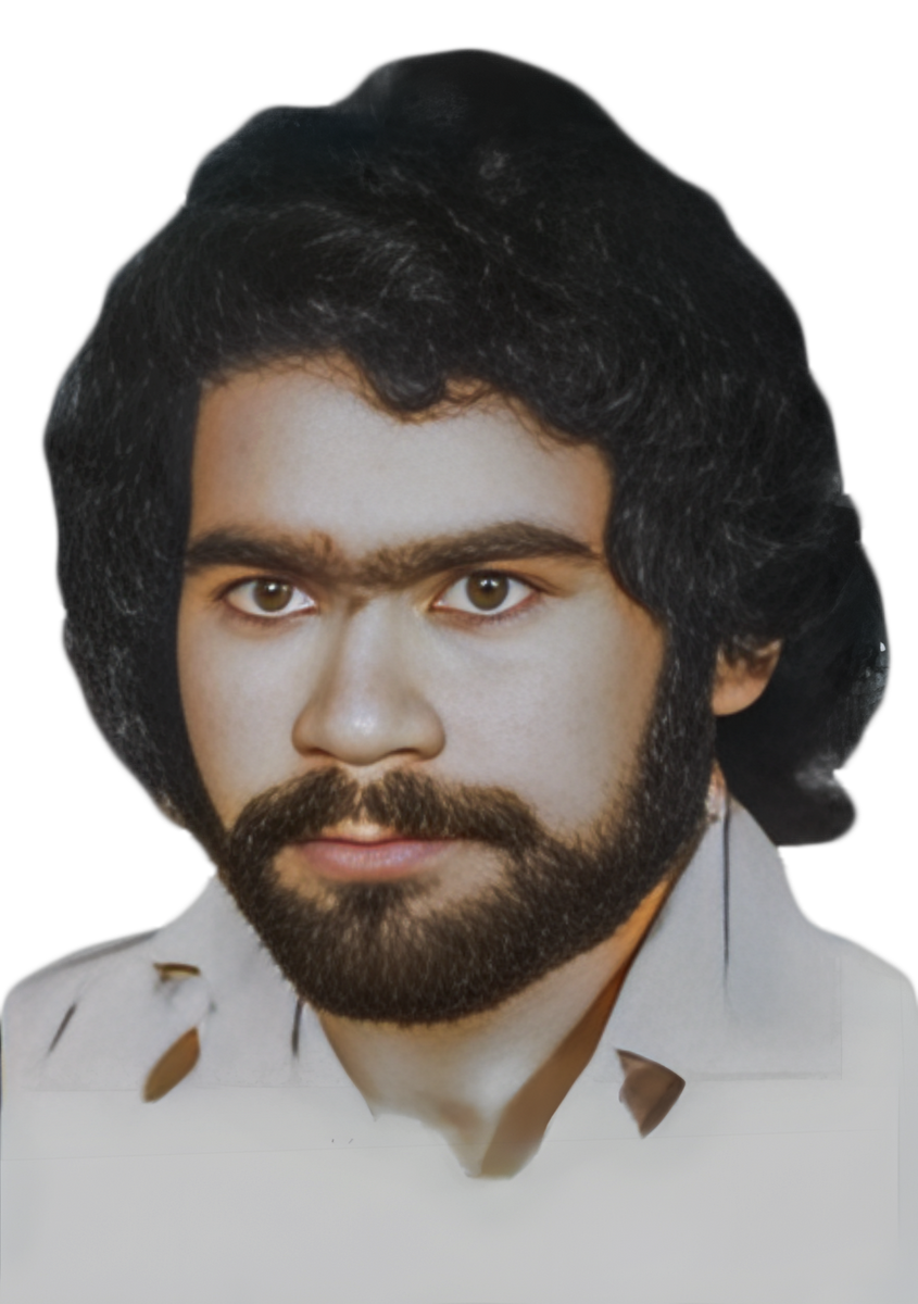 محمود سرداری کشکولی