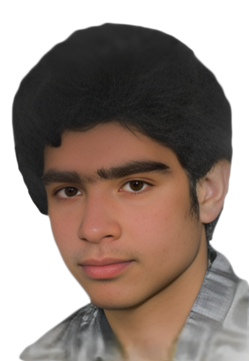 احمد سرمایه