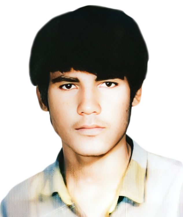 ولی اله سلطانی