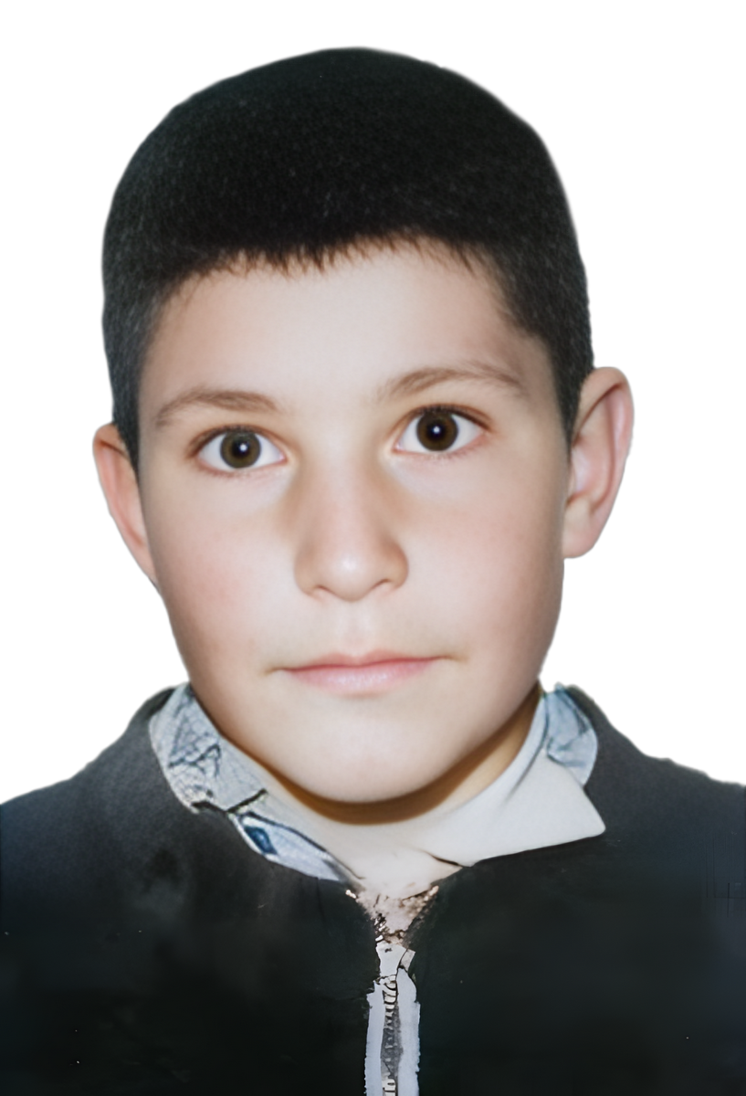 محمود سلیمانی بیدزردسفلی