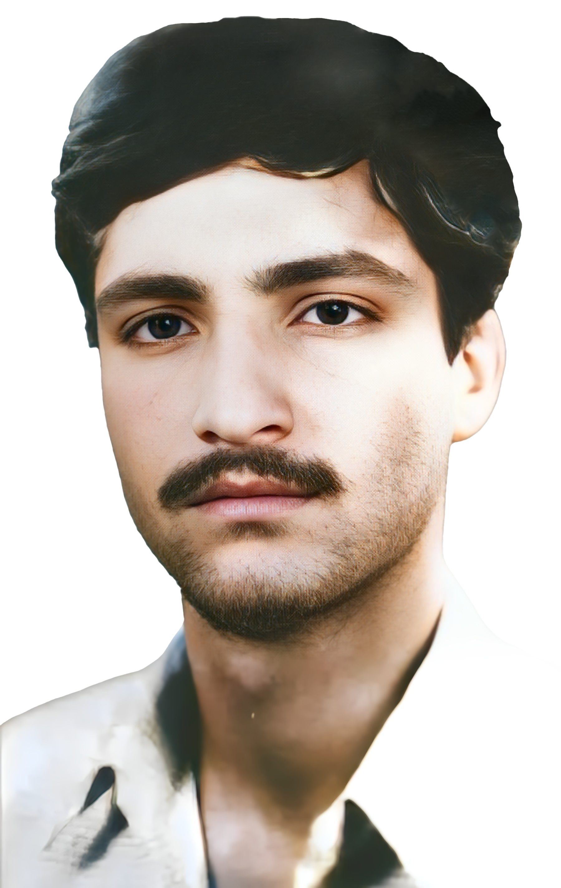 رضا سلمانی ظفرآبادی