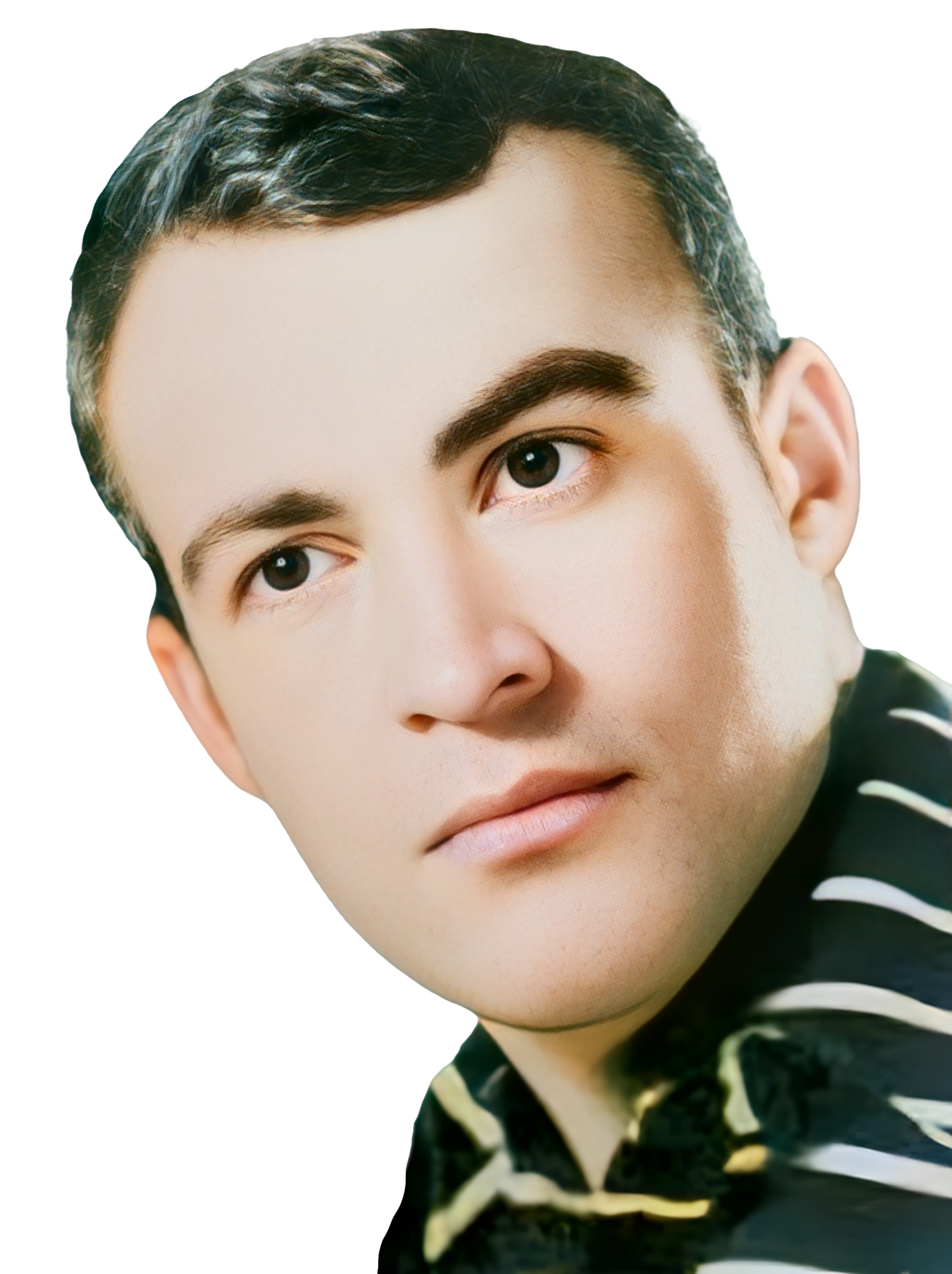 محمدجواد سلمانینژادحقیقی