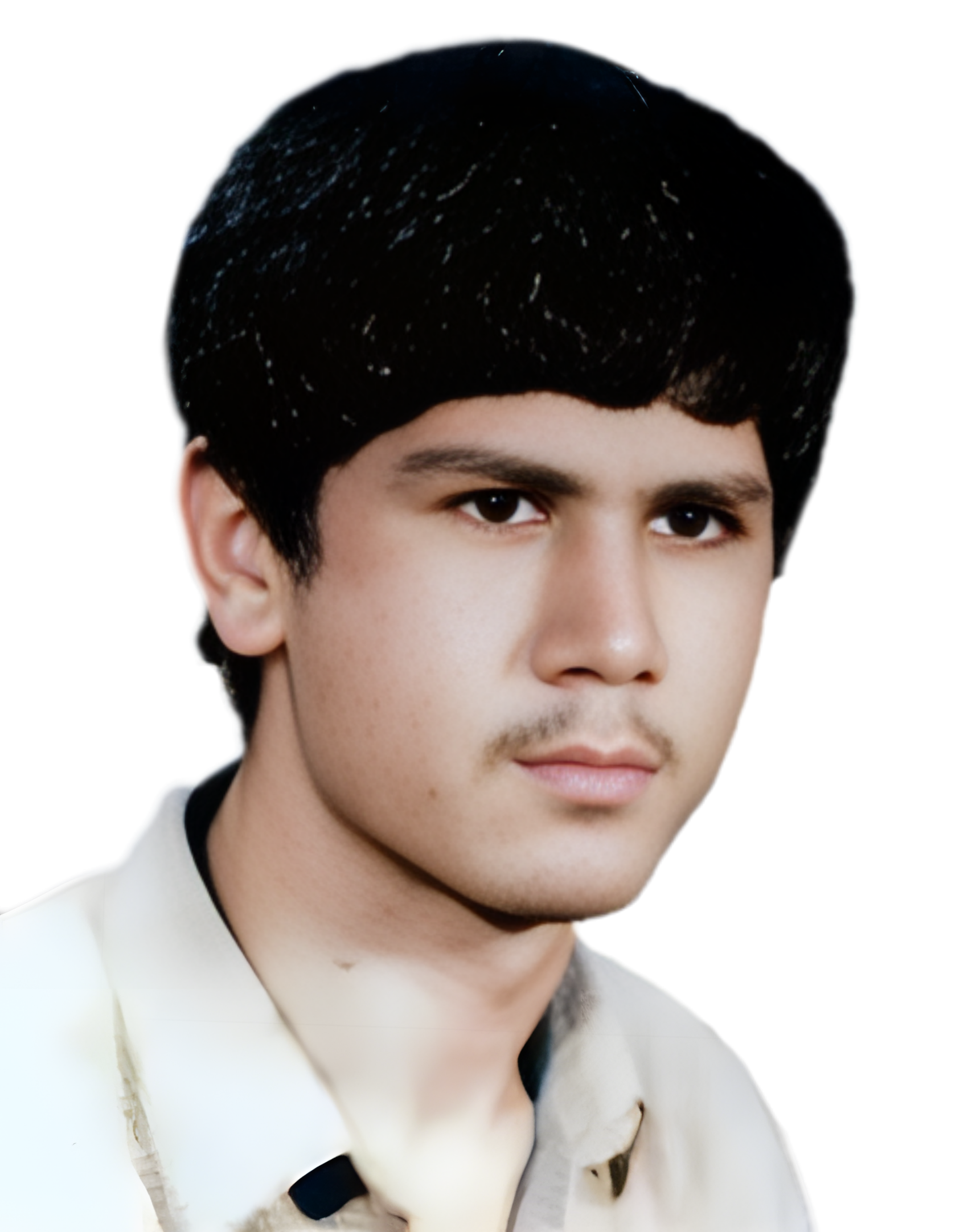 محمدرضا شاهرخی