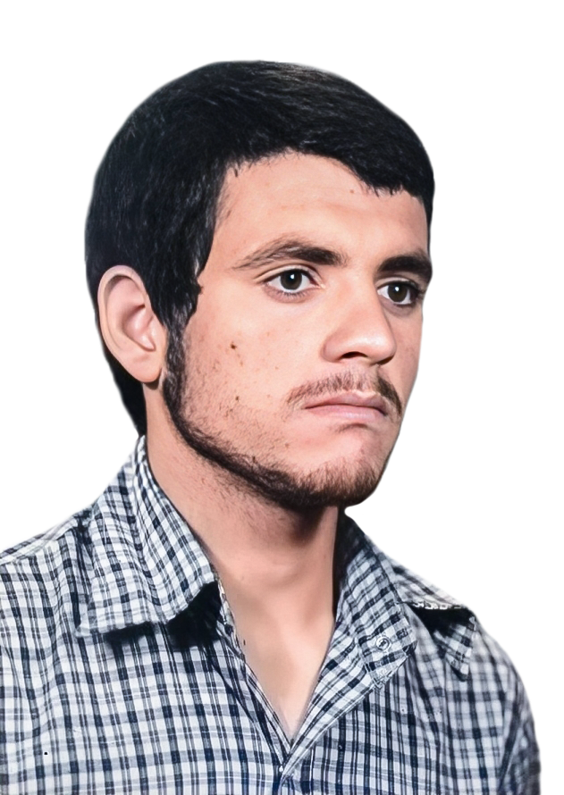 احمد شفیعی سیف آبادی