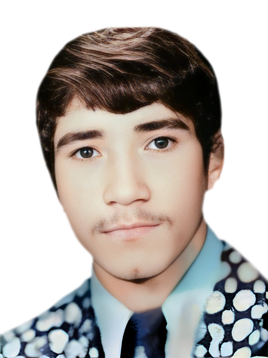 محمود شفیعی