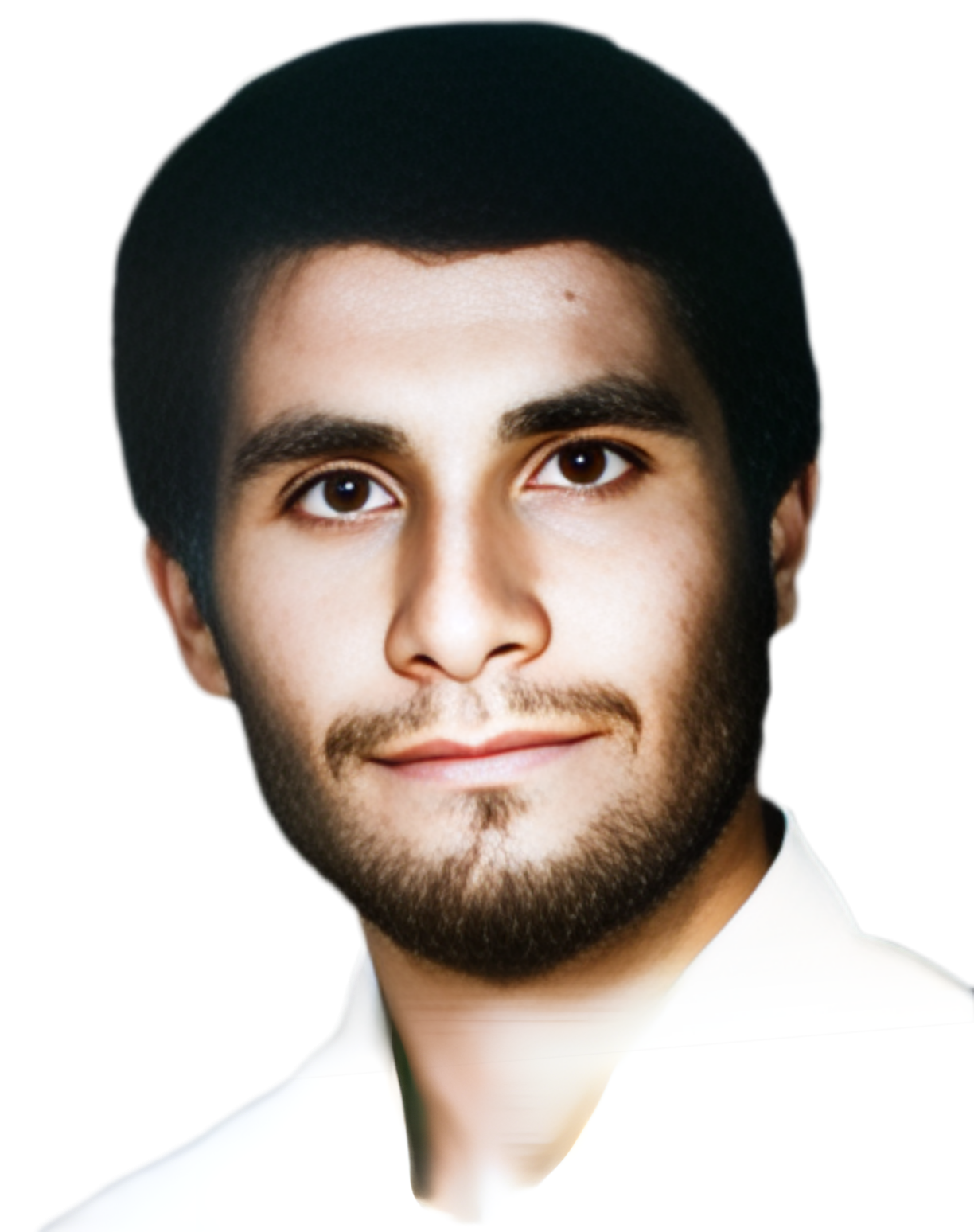 علی شیر شفیعی کردشولی