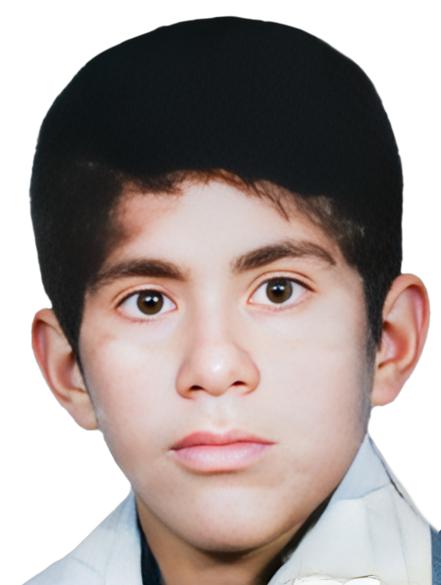 حمید شکوهی اربابی