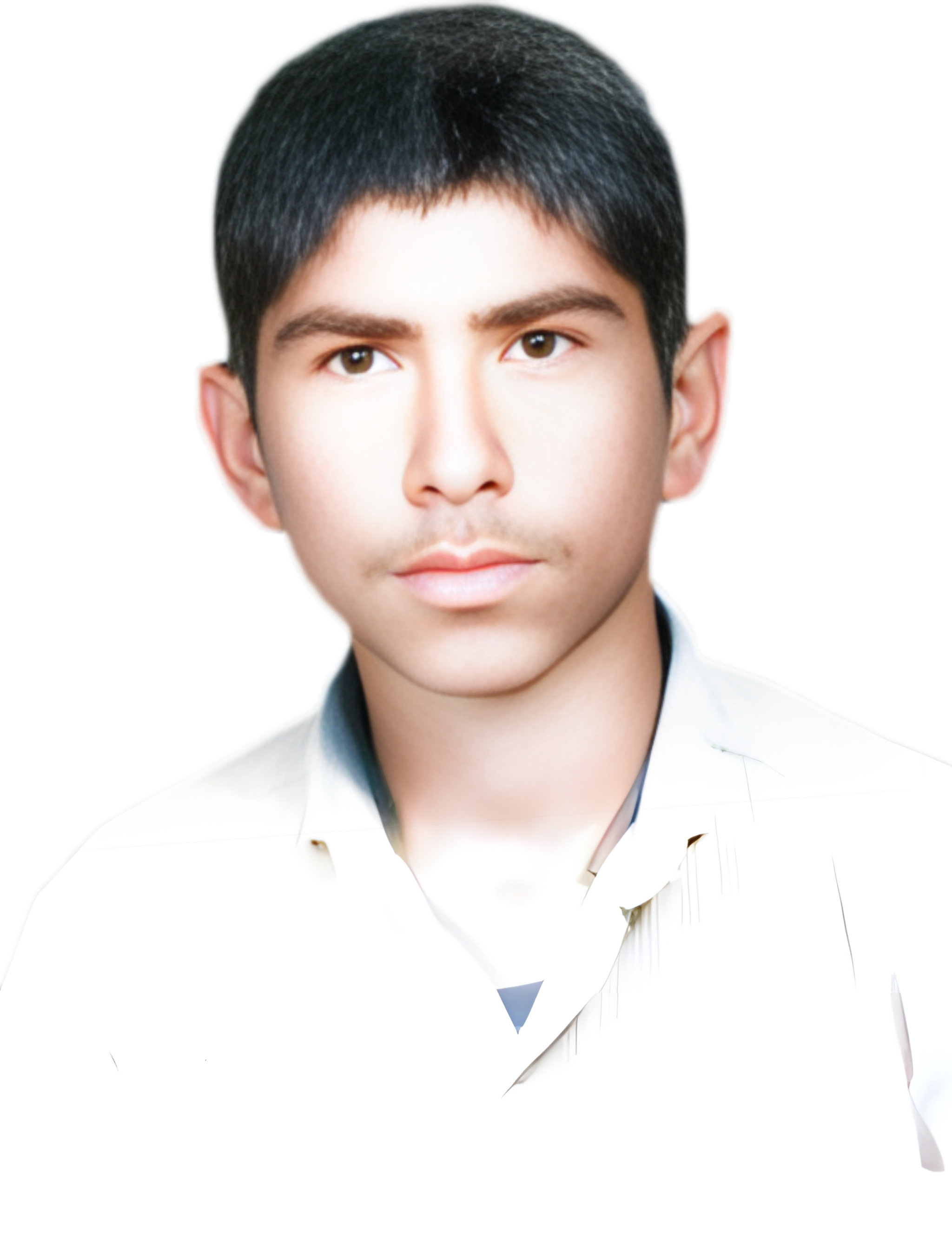 محمد شمس شولی