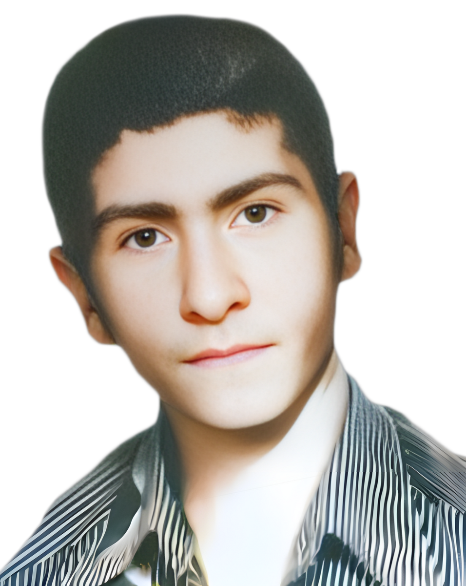 منصور شمس شولی