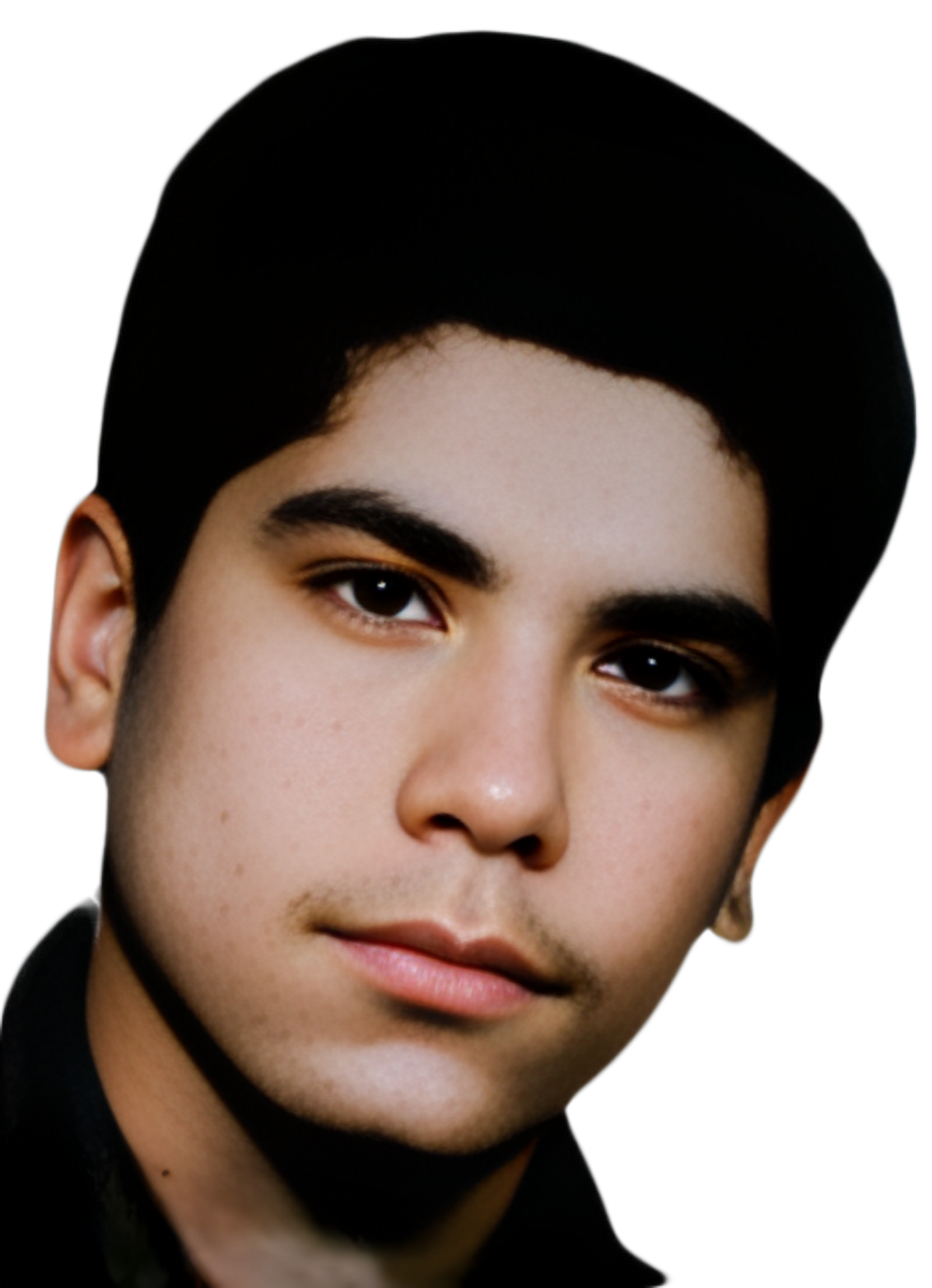 غلام حسن شمسی