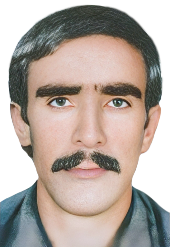 نواز شمسی خداوردیلو