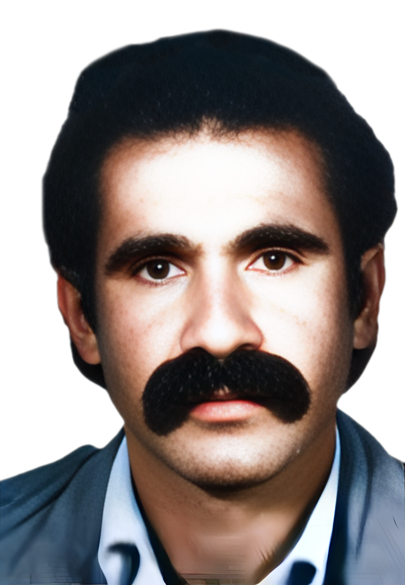 محمود شهسواری پور